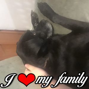 Meet your Posher, Sammy